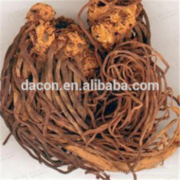 Tatarian Aster root extract powder